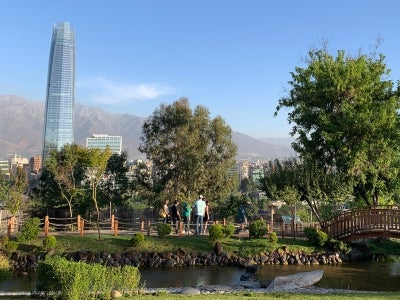 Skyline of Santiago Chile with trees in foreground