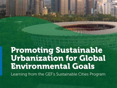 Cover image for publication "Promoting Sustainable Urbanizations for Global Environmental Goals"