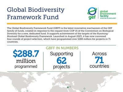 Cover image for publication "GBFF in Numbers"