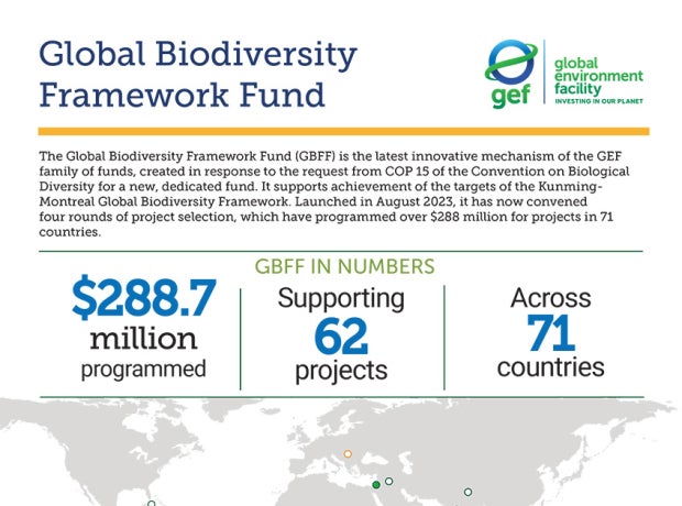 Cover image for publication "GBFF in Numbers"
