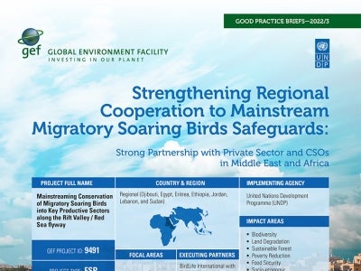 Cover image for publication "Good Practice Brief: Strengthening Regional Cooperation to Mainstream Migratory Soaring Birds Safeguards"