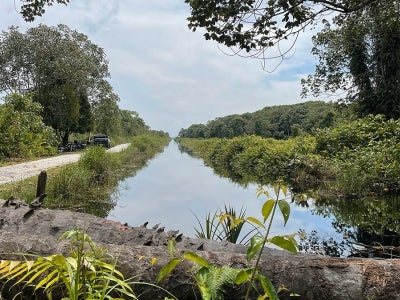 Photo of a canal in a jungle setting