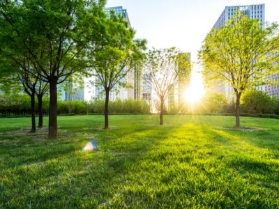 Park in Lujiazui financial center, Shanghai, China