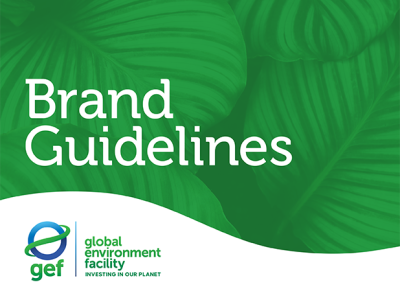 Cover image for publication 